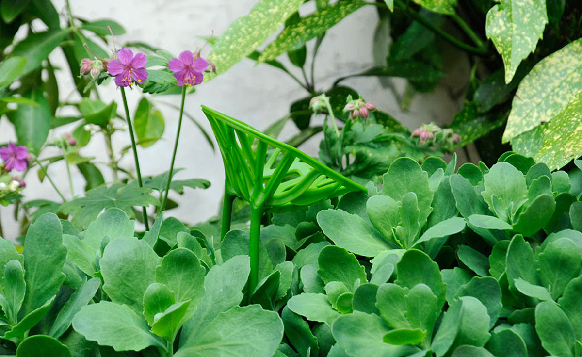 开云手机入口 - 坐具|餐椅|办公家具|开云中国家具|植物餐椅